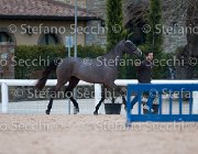 Capri FZ Tosc Tour2013- S5 1654 : Arezzo, Capri FZ, Cavalli d'Italia, Toscana Tour 2013, foto di Stefano Secchi ©